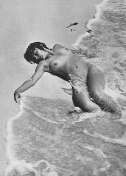 Topless Adult Beach - Observations on film art : Books
